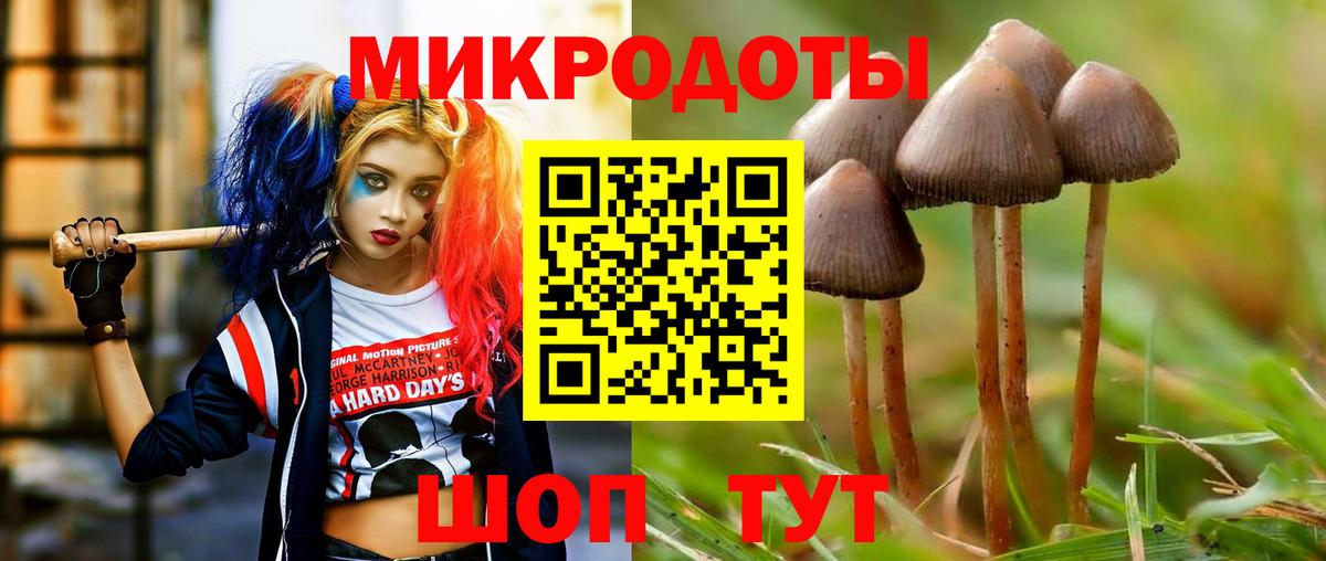 Острогожск  Псилоцибиновые грибы Psilocybine cubensis  Вход с VPN 
